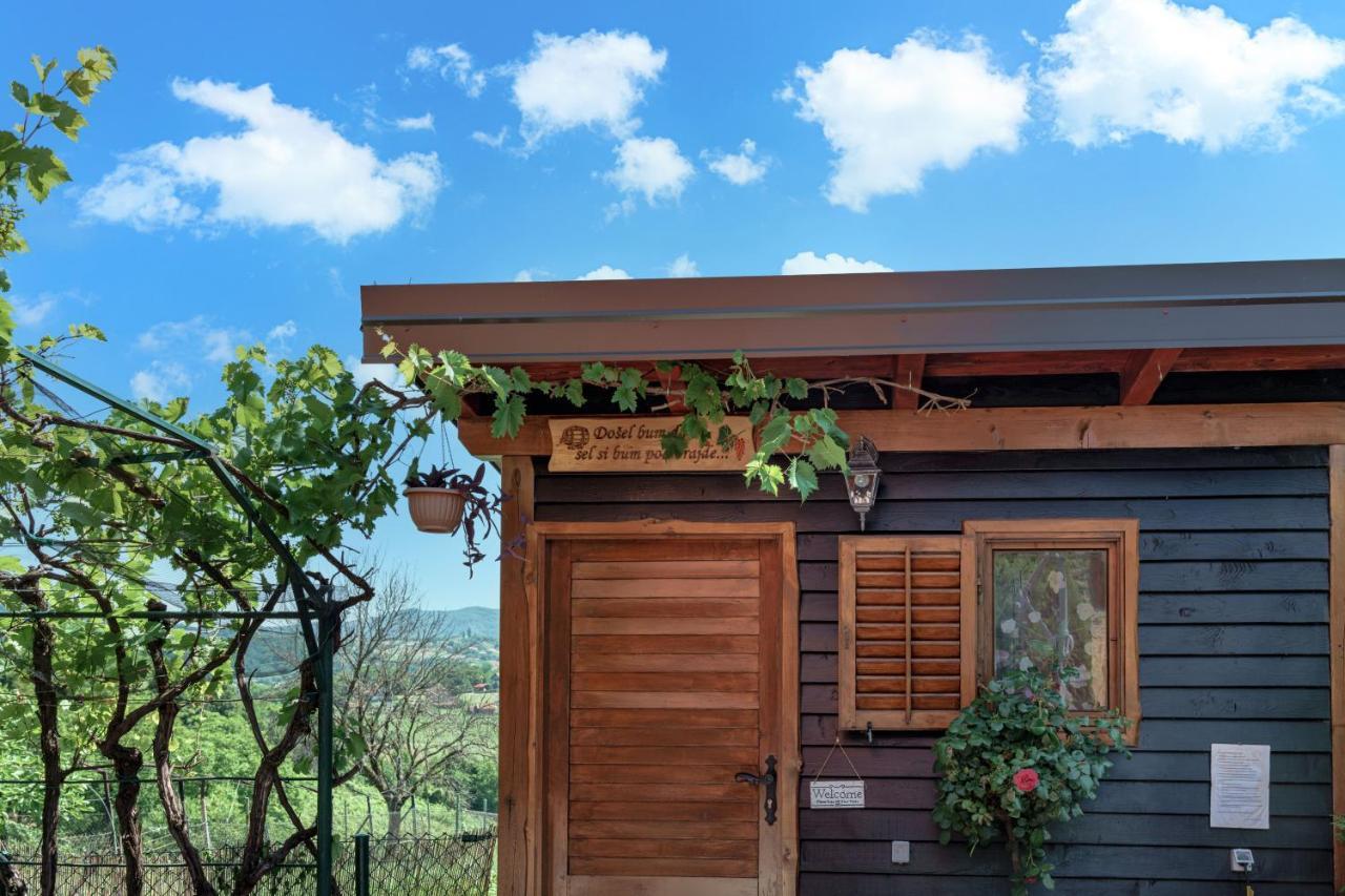 Kuca Za Odmor Rukova Hiza Vila Donja Stubica Exterior foto